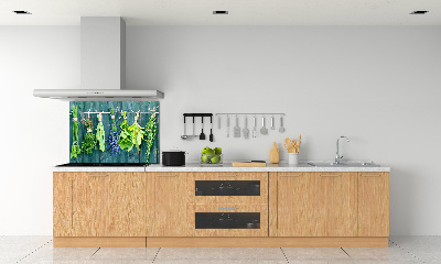 Spatscherm keuken Kruiden aan een touwtje