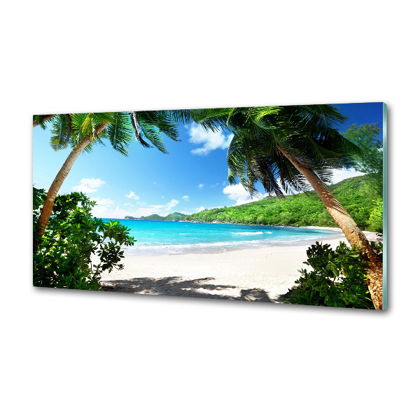 Spatscherm keuken strand op de Seychellen