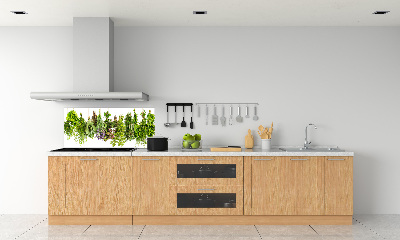 Glazen achterwand keuken Kruiden aan een touwtje