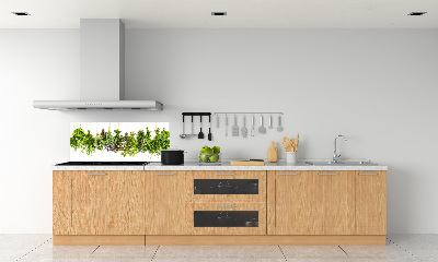 Glazen achterwand keuken Kruiden aan een touwtje