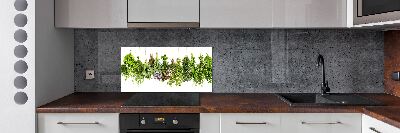 Glazen achterwand keuken Kruiden aan een touwtje