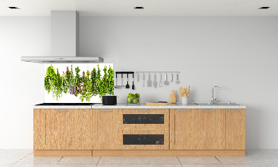 Glazen achterwand keuken Kruiden aan een touwtje