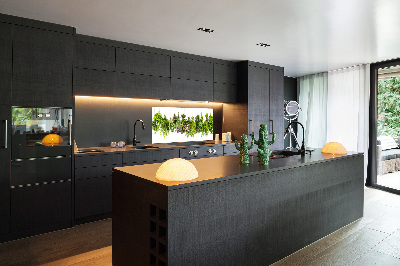 Glazen achterwand keuken Kruiden aan een touwtje