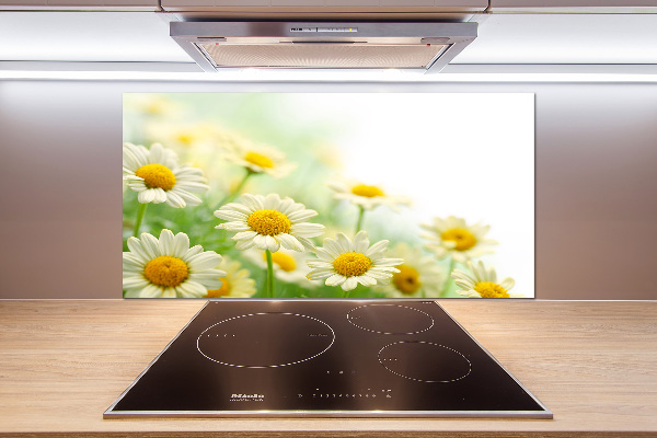 Glazen achterwand keuken Madeliefjes