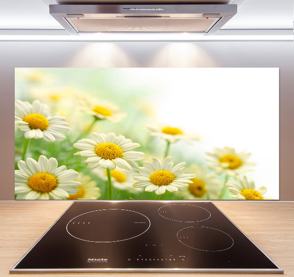 Glazen achterwand keuken Madeliefjes