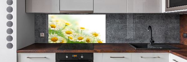 Glazen achterwand keuken Madeliefjes