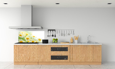 Glazen achterwand keuken Madeliefjes
