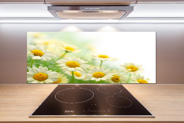 Glazen achterwand keuken Madeliefjes