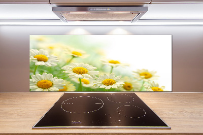 Glazen achterwand keuken Madeliefjes