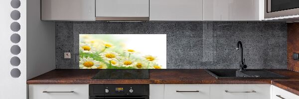 Glazen achterwand keuken Madeliefjes