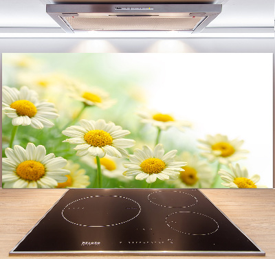 Glazen achterwand keuken Madeliefjes