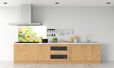 Glazen achterwand keuken Madeliefjes