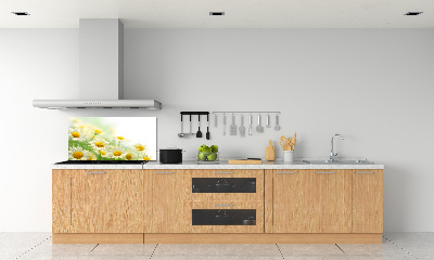 Glazen achterwand keuken Madeliefjes
