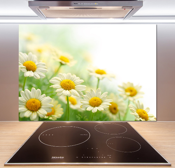 Glazen achterwand keuken Madeliefjes