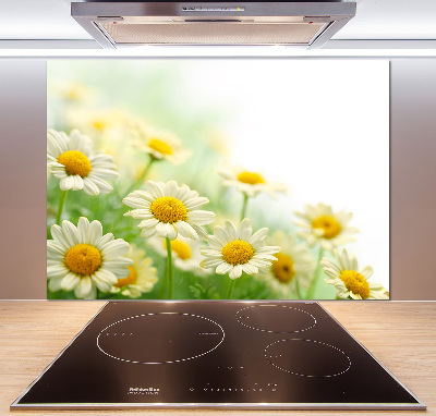 Glazen achterwand keuken Madeliefjes