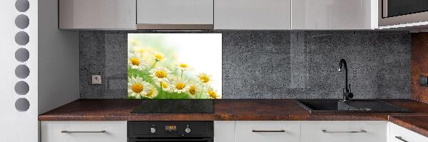Glazen achterwand keuken Madeliefjes