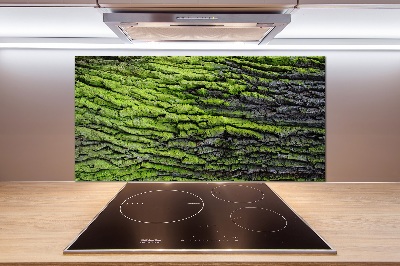 Achterwand keuken Boomschors