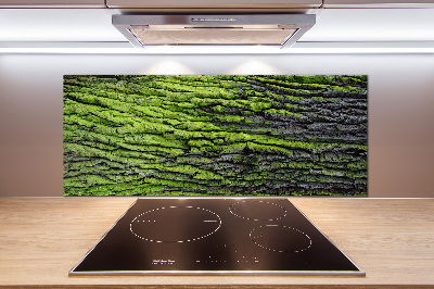 Achterwand keuken Boomschors