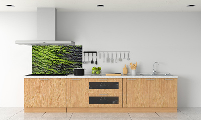 Achterwand keuken Boomschors