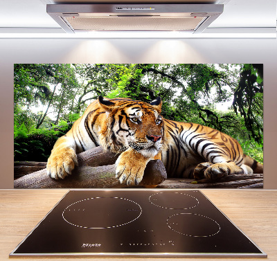 Achterwand keuken Tijger op een rots