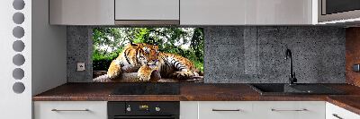 Achterwand keuken Tijger op een rots