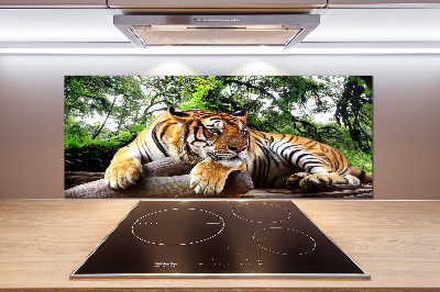Achterwand keuken Tijger op een rots