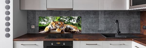 Achterwand keuken Tijger op een rots