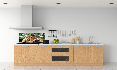 Achterwand keuken Tijger op een rots