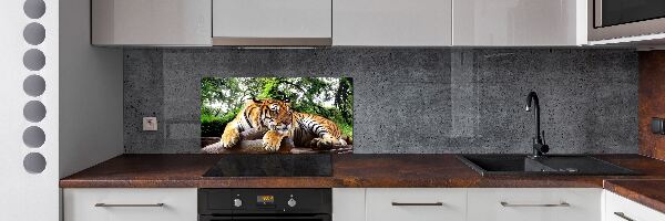 Achterwand keuken Tijger op een rots