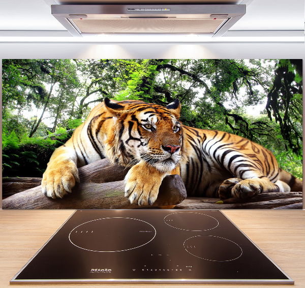 Achterwand keuken Tijger op een rots