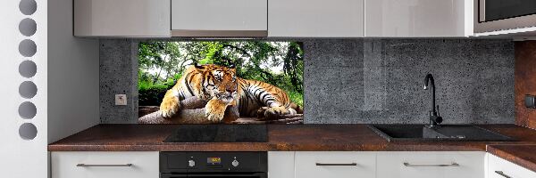 Achterwand keuken Tijger op een rots