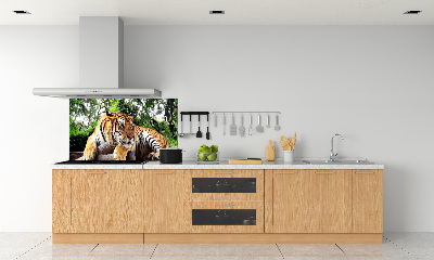 Achterwand keuken Tijger op een rots