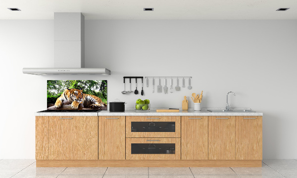 Achterwand keuken Tijger op een rots