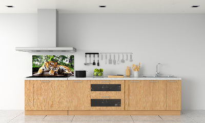 Achterwand keuken Tijger op een rots