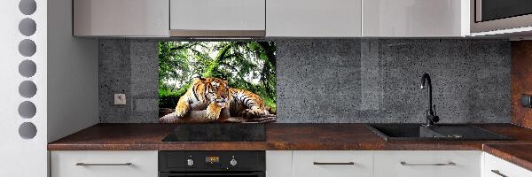 Achterwand keuken Tijger op een rots