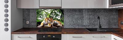 Achterwand keuken Tijger op een rots