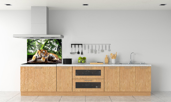 Achterwand keuken Tijger op een rots