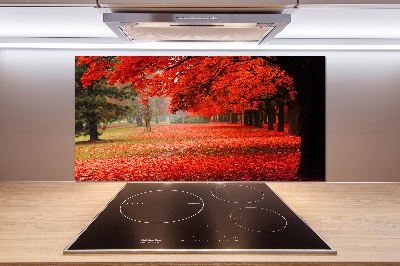 Spatplaat keuken Bomen in de herfst