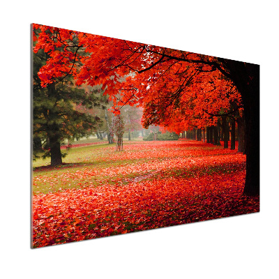 Spatplaat keuken Bomen in de herfst