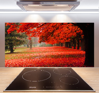 Spatplaat keuken Bomen in de herfst