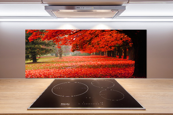 Spatplaat keuken Bomen in de herfst