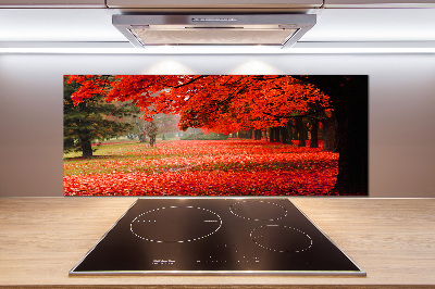 Spatplaat keuken Bomen in de herfst
