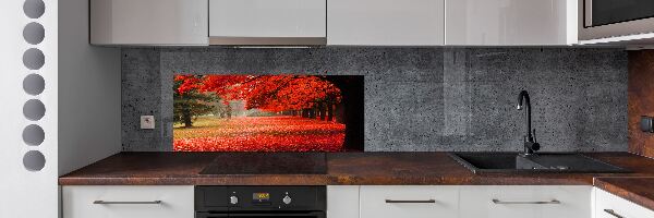 Spatplaat keuken Bomen in de herfst