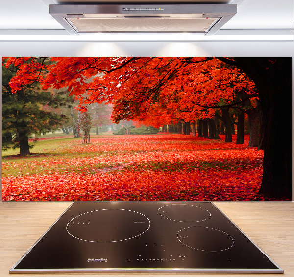 Spatplaat keuken Bomen in de herfst