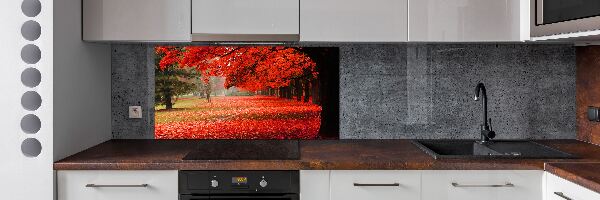 Spatplaat keuken Bomen in de herfst