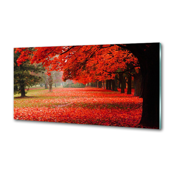 Spatplaat keuken Bomen in de herfst
