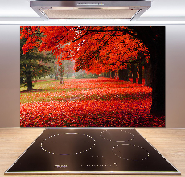 Spatplaat keuken Bomen in de herfst