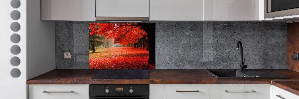 Spatplaat keuken Bomen in de herfst