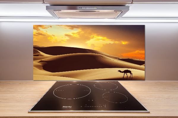 Keuken achterwand Sahara-kameel