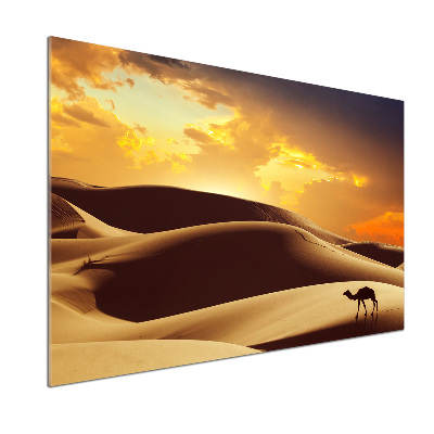 Keuken achterwand Sahara-kameel